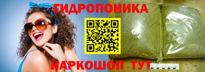 прущие грибы Шахты