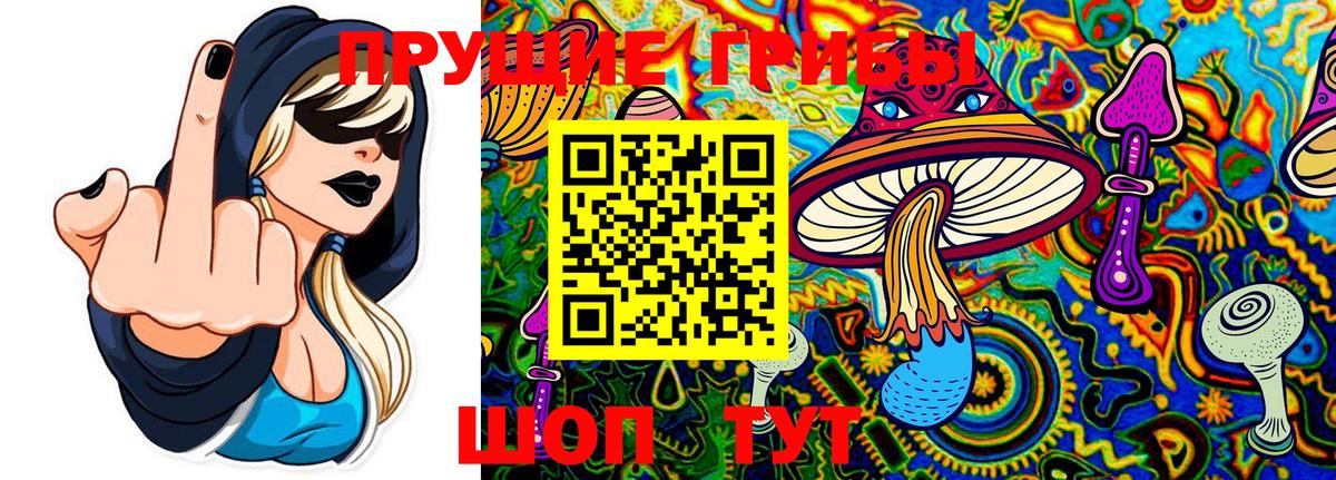 Галлюциногенные грибы Cubensis  Вход с VPN  Галлюциногенные грибы MAGIC MUSHROOMS  Мичуринск 