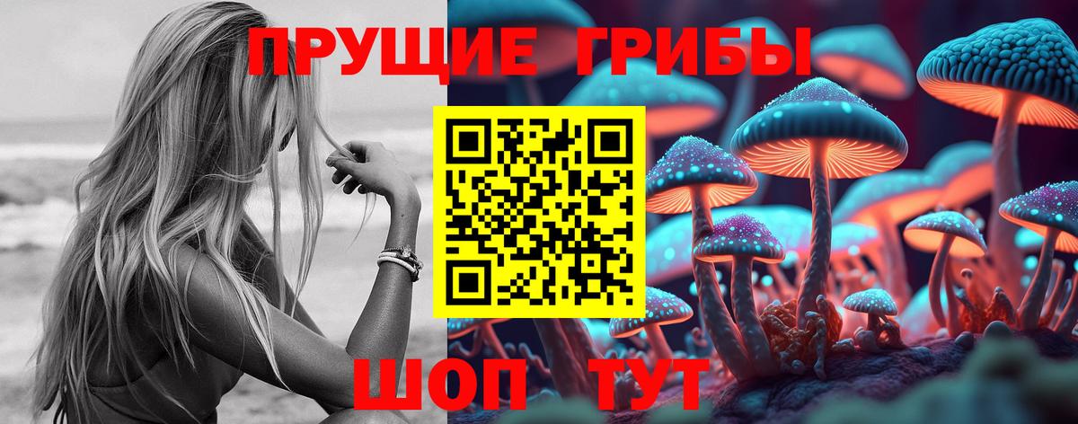 Меф Мичуринск